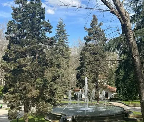 Evaluación de riesgo en Campo San Francisco