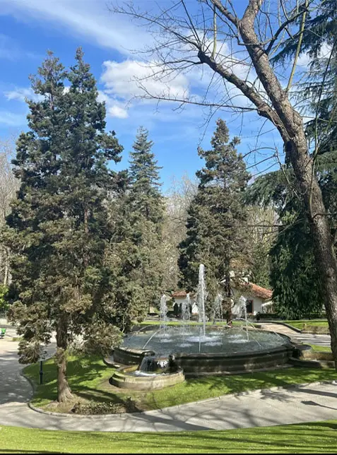 Evaluación de riesgo en Campo San Francisco - Renatura Urbana