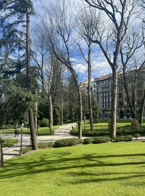 Evaluación de riesgo en Campo San Francisco - Renatura Urbana Evaluación de riesgo en Campo San Francisco - Renatura Urbana