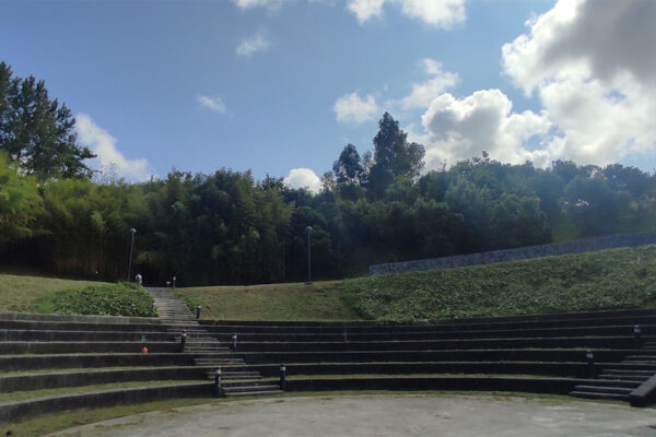 Arboretum de la Universidad del Pais Vasco en el Campus de Leioa Arboretum de la Universidad del Pais Vasco en el Campus de Leioa