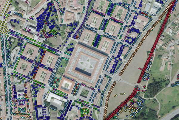 Redacción del plan director de arbolado urbano