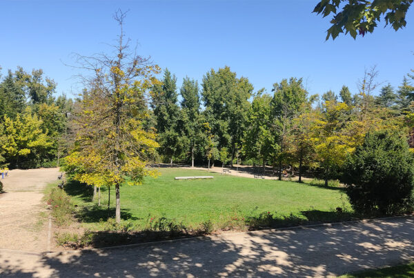 Parque Ribera de Castilla