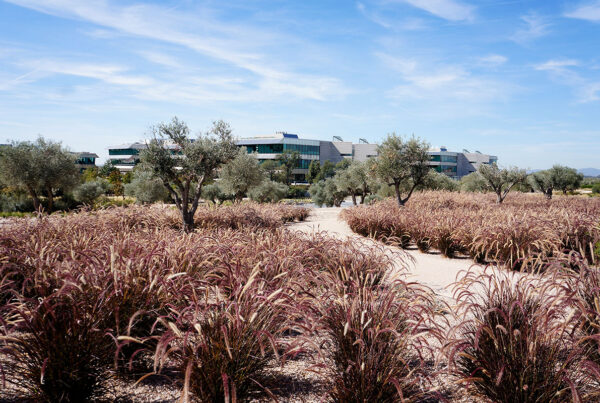 Ciudad financiera Banco Santander Boadilla del Monte