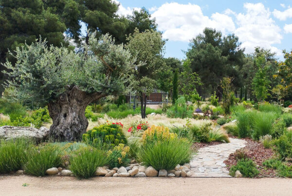 Jardín Privado Cuellar