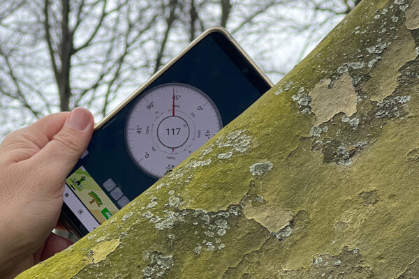 Revisión de arbolado en el parque urbano Campo San Francisco Revisión de arbolado en el parque urbano Campo San Francisco