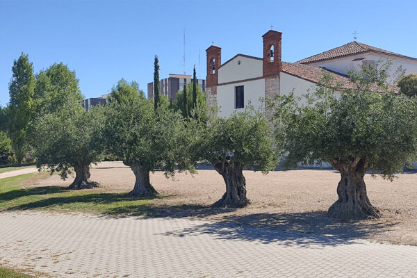 Parque de San Isidro Parque de San Isidro
