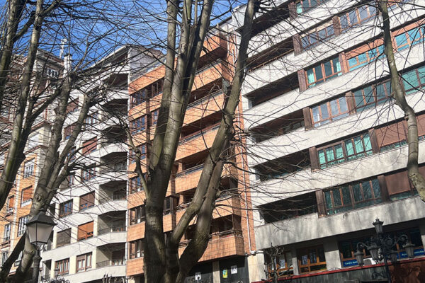 Revisión de arbolado en el parque urbano Campo San Francisco Revisión de arbolado en el parque urbano Campo San Francisco