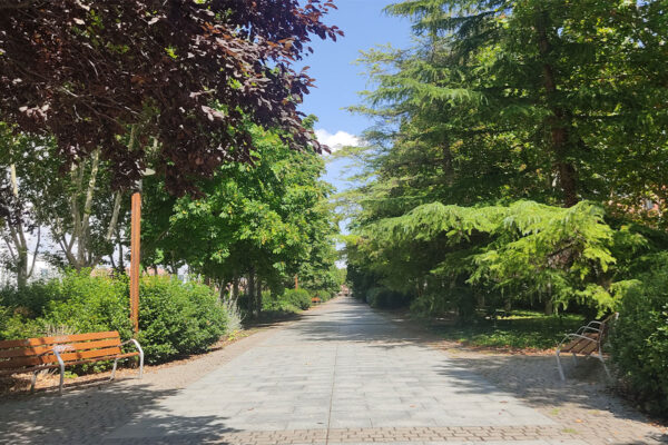 Paseo central de la Urbanización La Vega Paseo central de la Urbanización La Vega