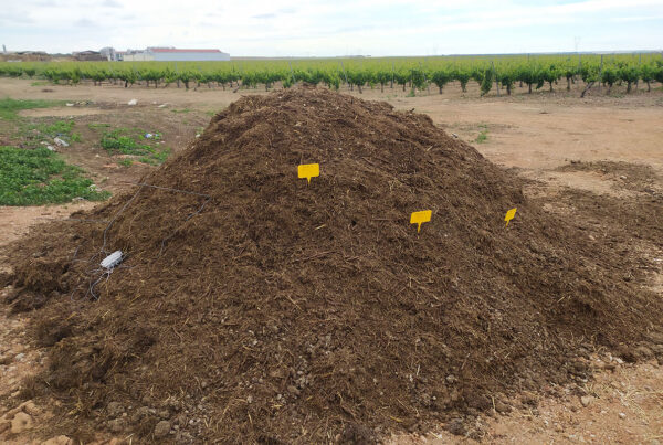 Valorización de residuos para bodega