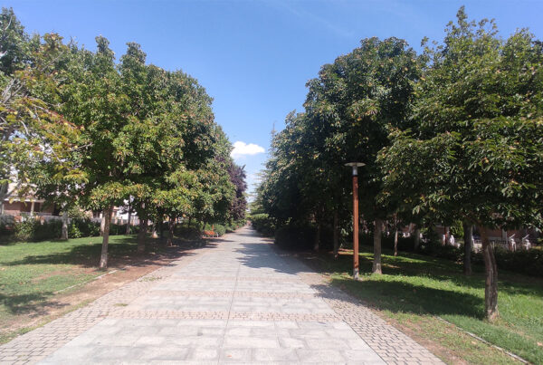 Paseo central de la Urbanización La Vega