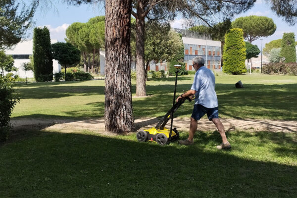 Comprobación del estado del arbolado de las parcelas propiedad del ICE en el parque tecnológico de Boecillo Comprobación del estado del arbolado de las parcelas propiedad del ICE en el parque tecnológico de Boecillo