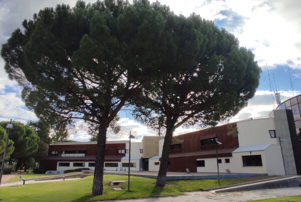 Análisis visual de los árboles existentes en las parcelas propiedad del ICE en el Parque Tecnológico de Boecillo