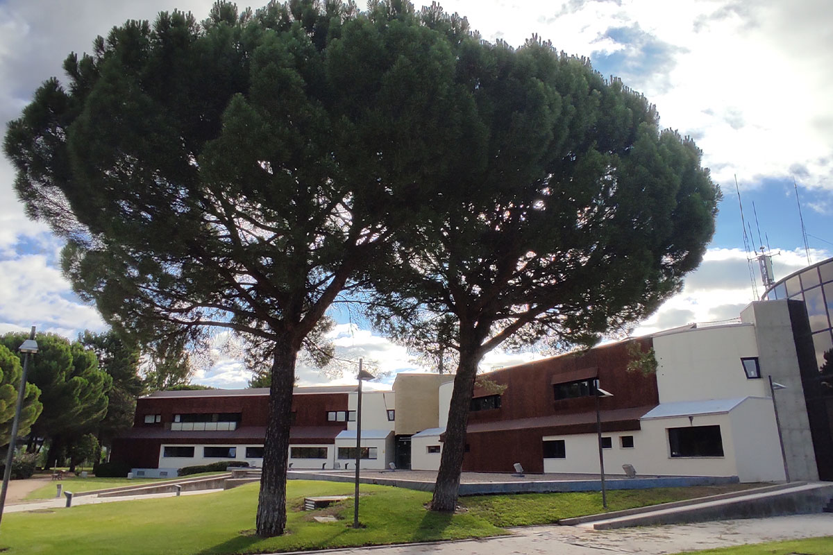 Análisis visual de los árboles existentes en las parcelas propiedad del ICE en el Parque Tecnológico de Boecillo