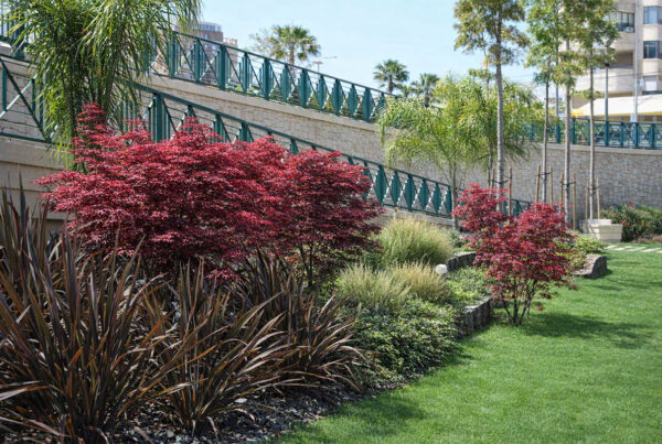 Paisajismo urbanización Torre Golf