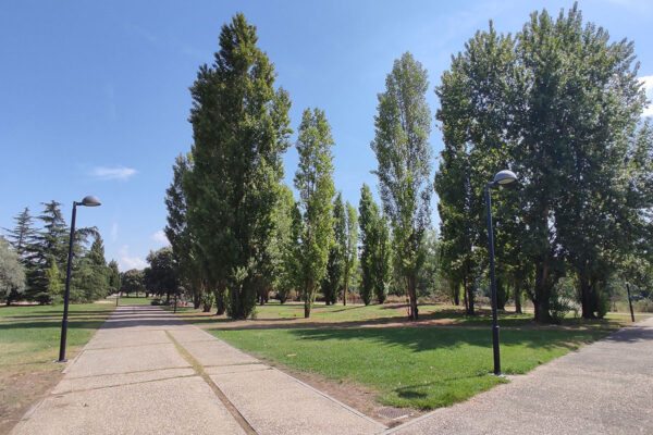 Parque lúdico de la Ribera del Puerga Parque lúdico de la Ribera del Puerga