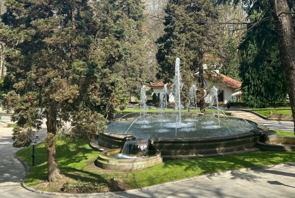 Revisión de arbolado en el parque urbano Campo San Francisco