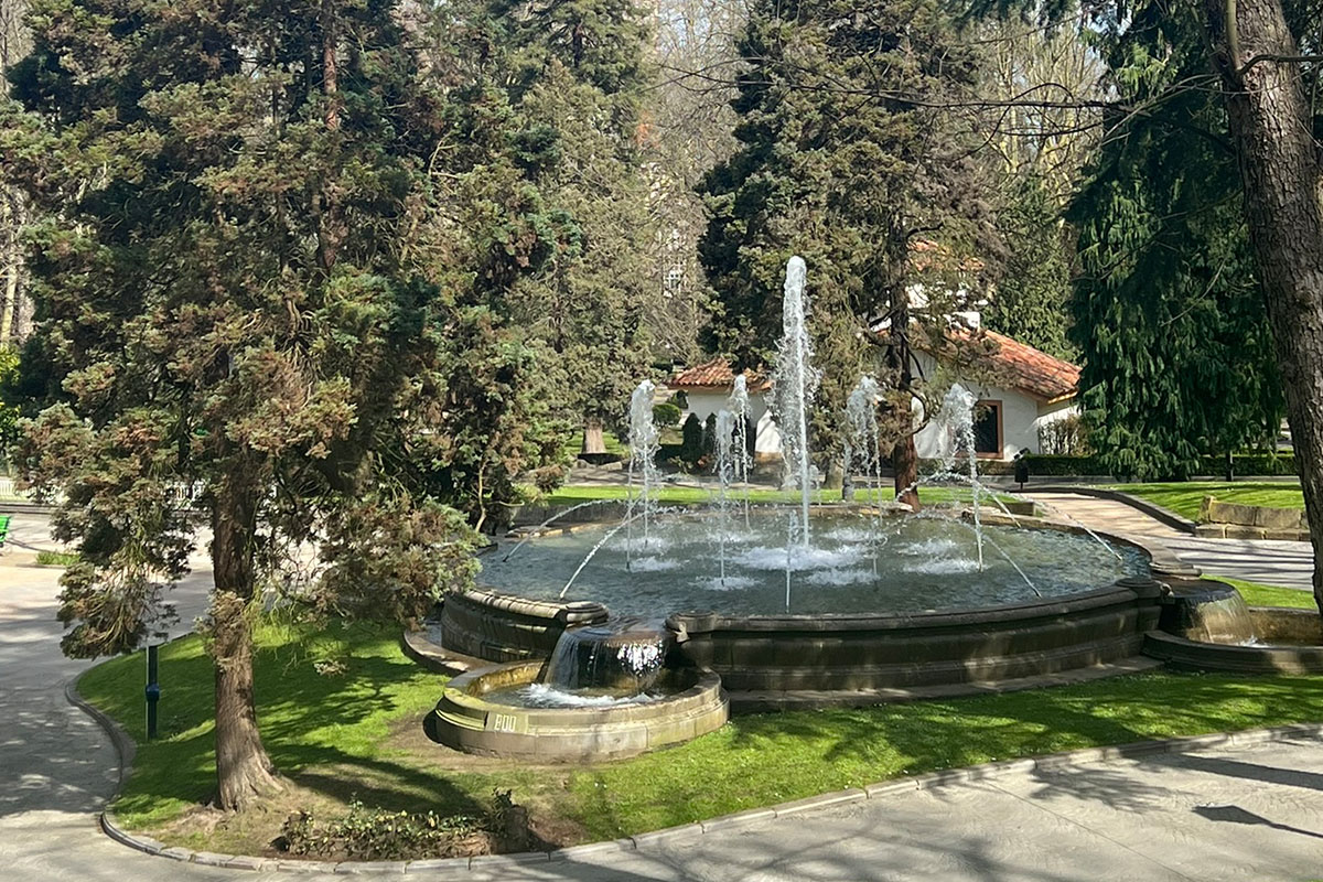 Revisión de arbolado en el parque urbano Campo San Francisco