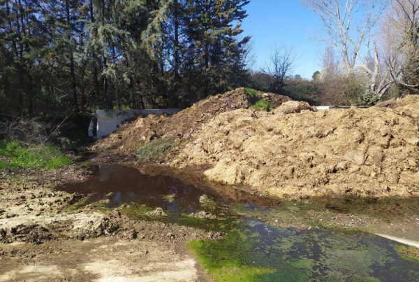 Explotación vacuno