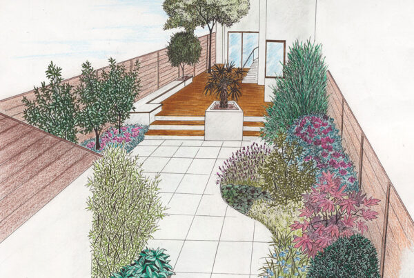 Diseños